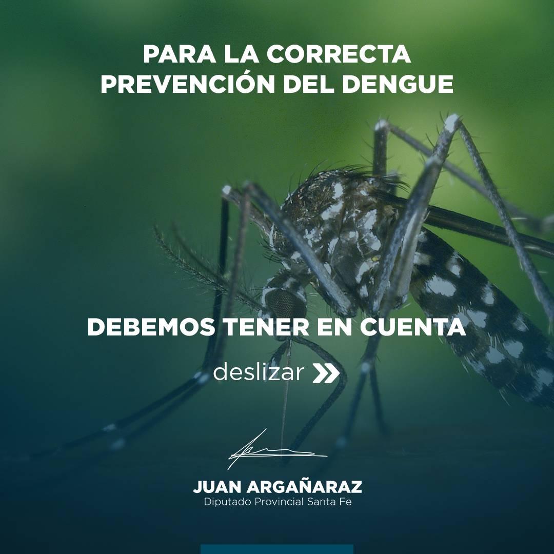 prevenir la enfermedad es evitar la picadura del mosquito
